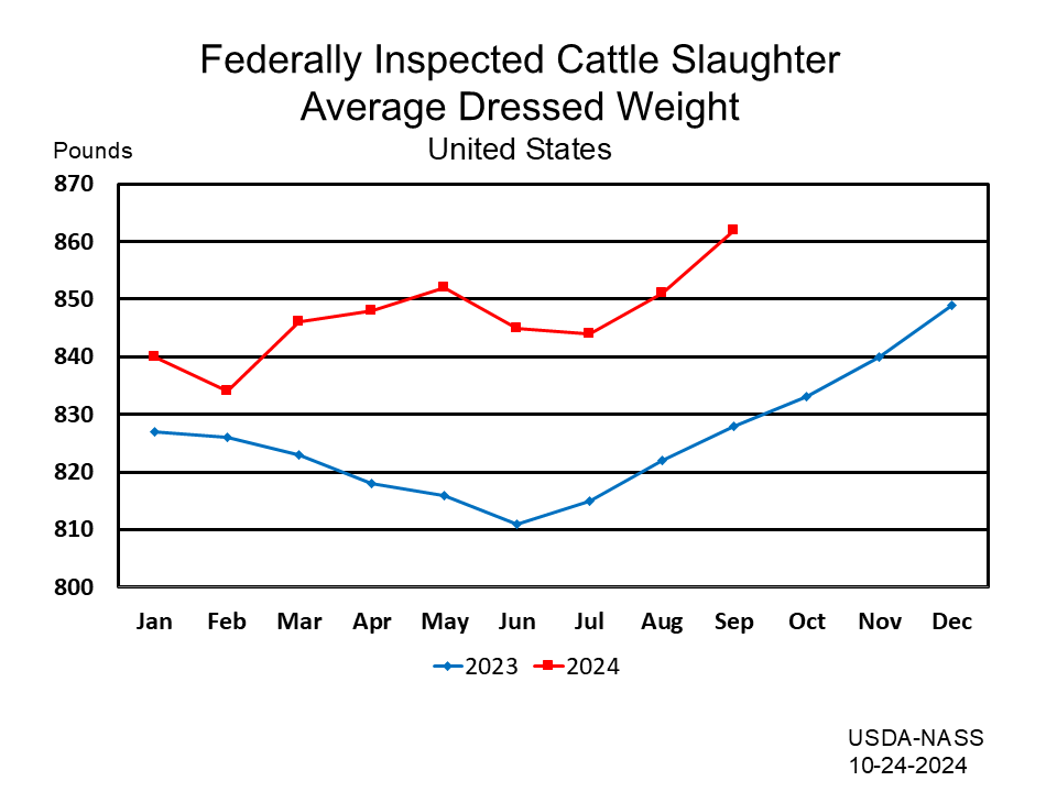 Federally Inspected Cattle Slaughter