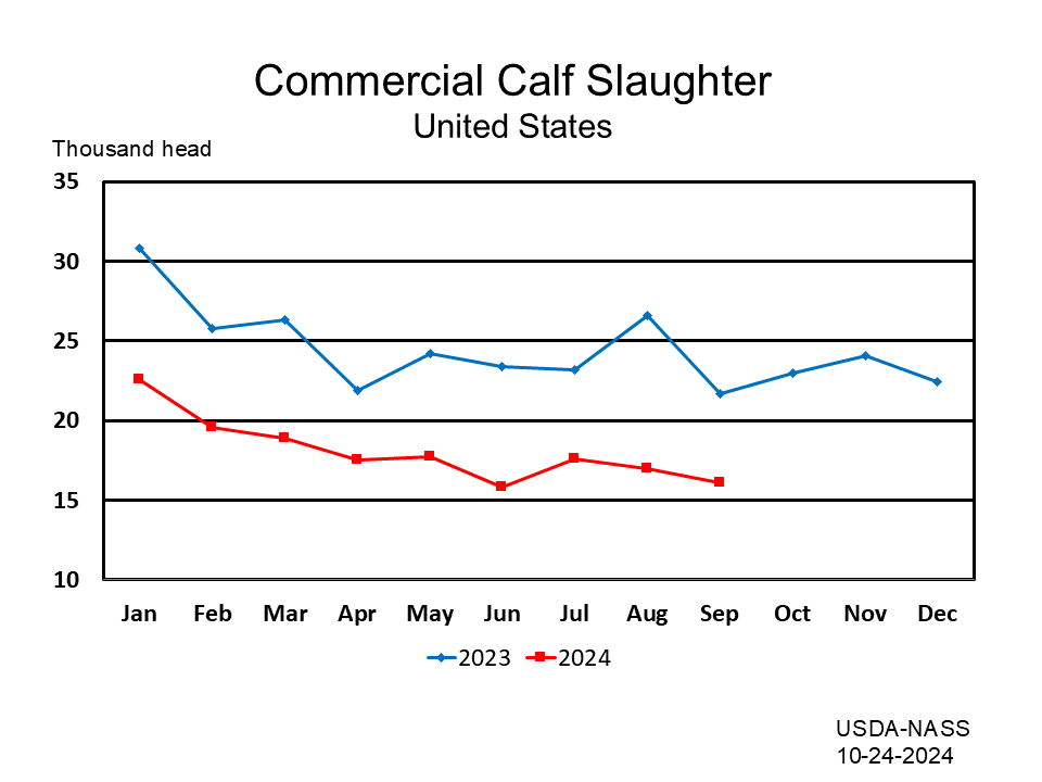 Commercial Calves Slaughter