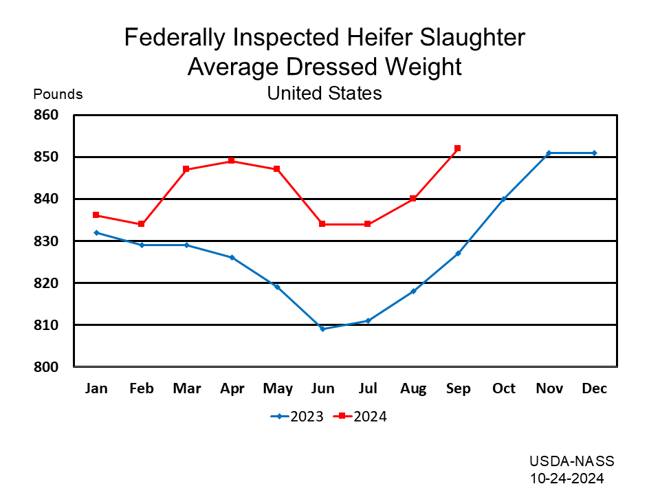 Federally Inspected Heifer Slaughter