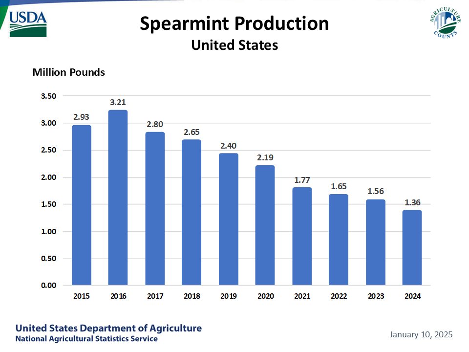 Spearmint: Production by Year, US