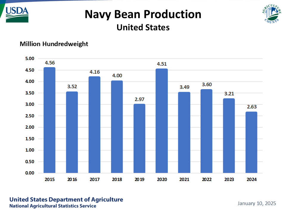 Navy Beans: Production by Year, US