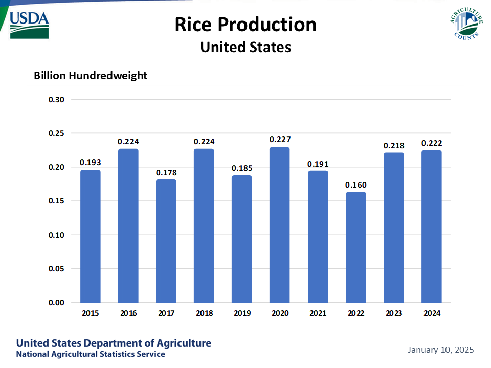 Rice: Production by Year, US