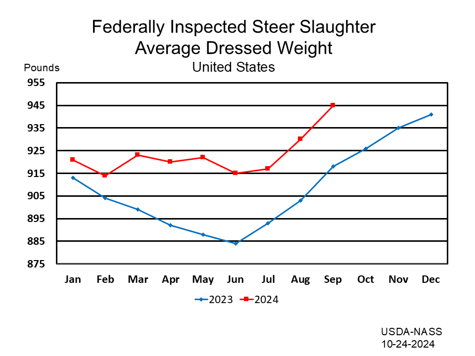 Federally Inspected Steer Slaughter