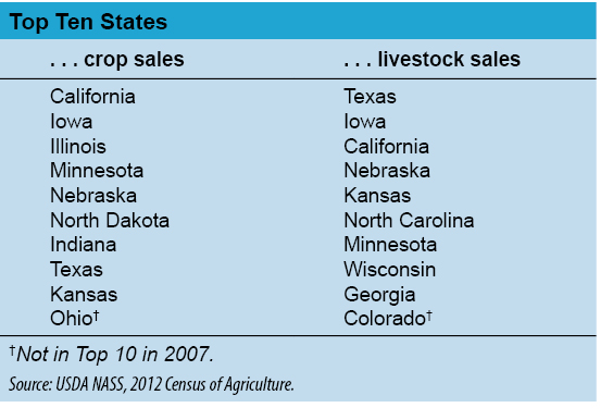 Snapshot of Top Ten States