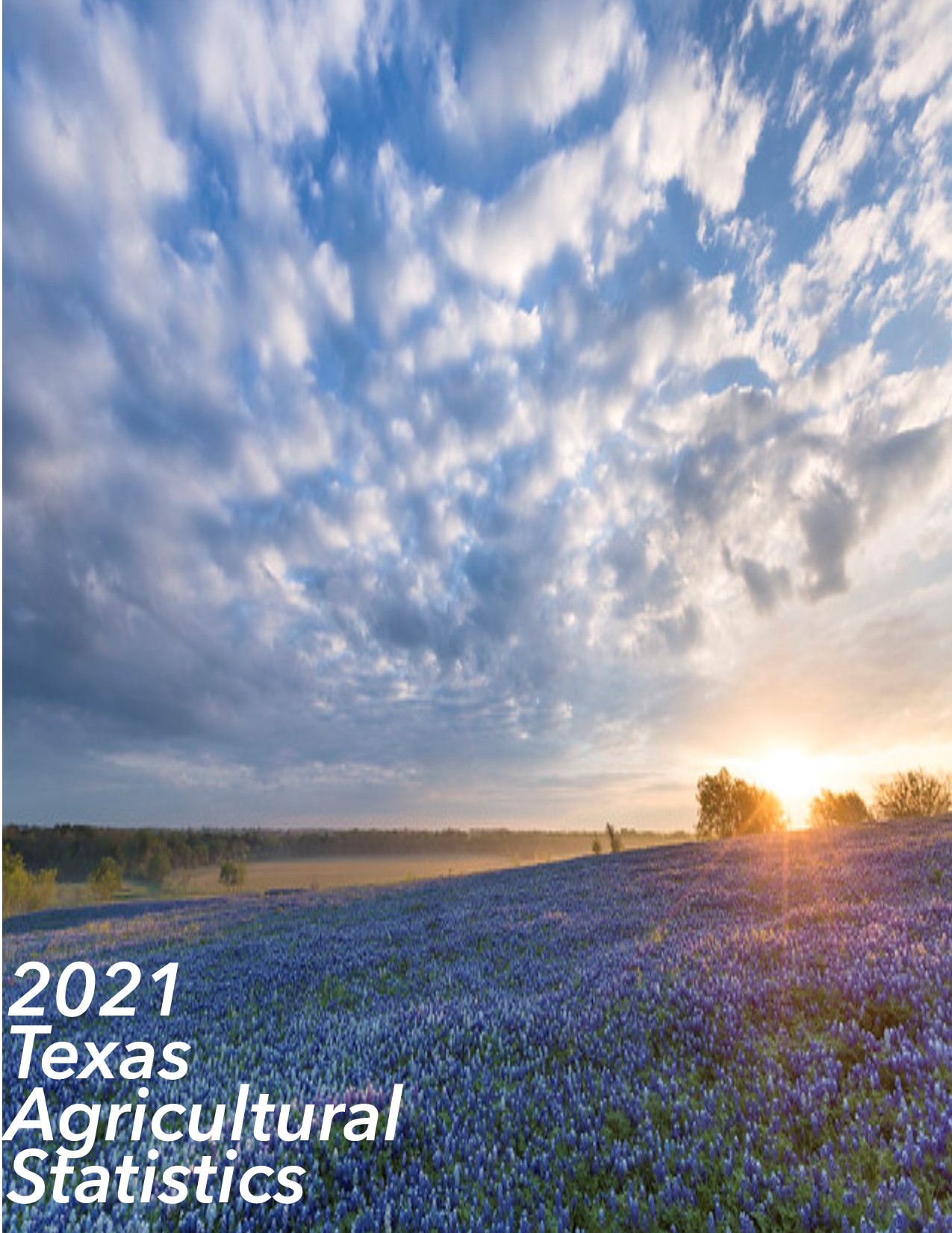 2021 Texas Agricultrual Statistics