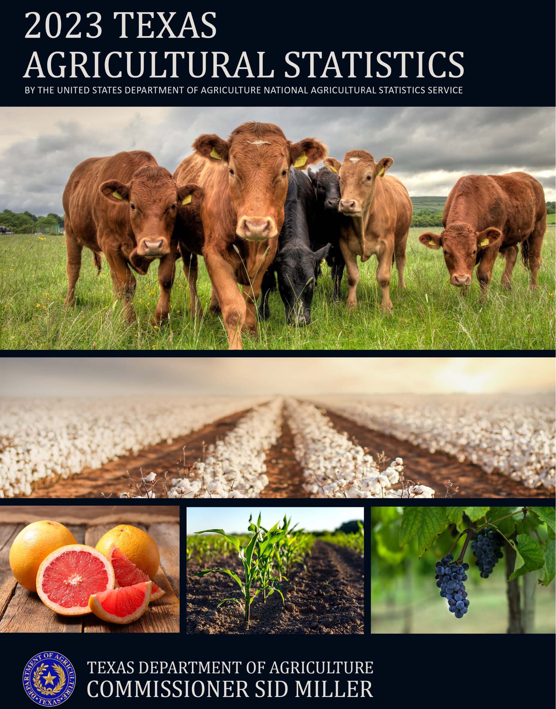 2023 Texas Agricultrual Statistics