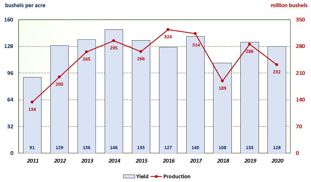 A bar and line chart of Texas corn yield per harvested acre and production for the last ten years.