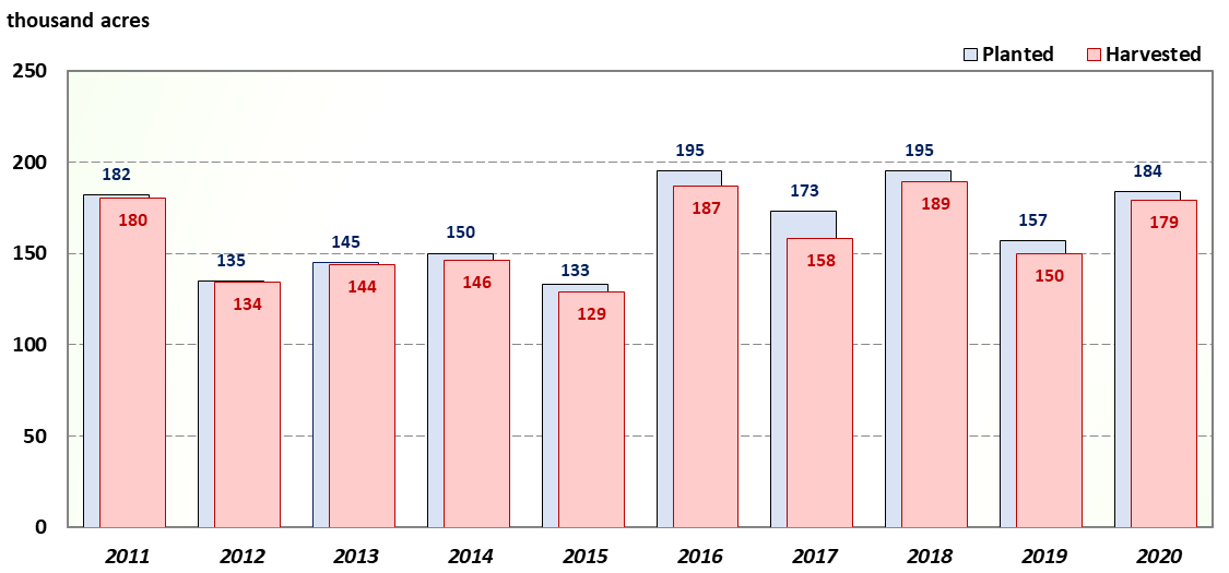 TA bar chart of Texas rice planted and haravested acres for the last ten years.