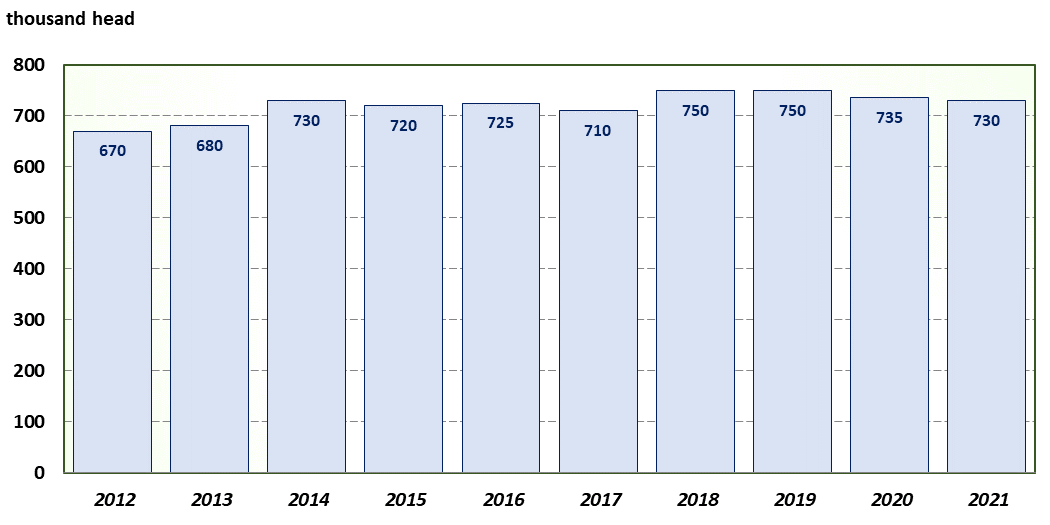 Texas Sheep Inventory Chart