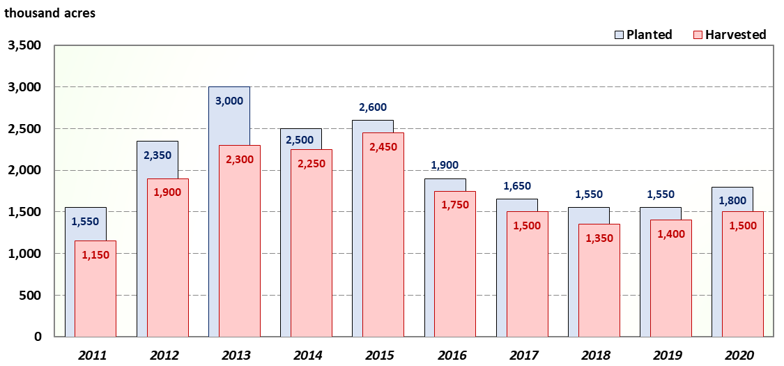 A bar chart of Texas sorghum planted and harvested acres for the last ten years.