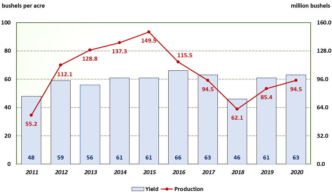 A bar and line chart of Texas Sorghum yield per harvested acre and production for the last ten years.