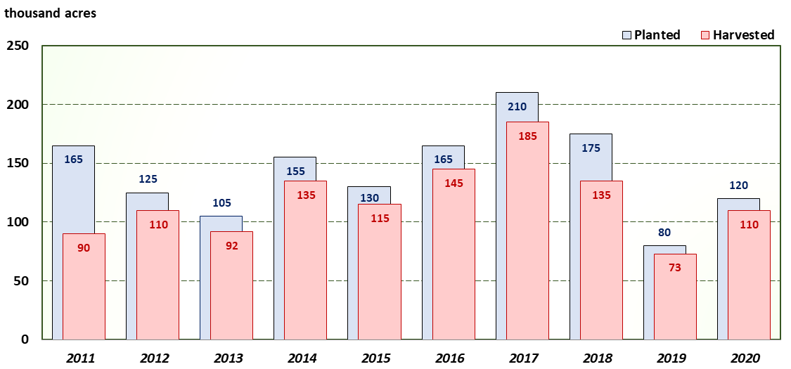 A bar chart of Texas soybeans planted and harvested acres for the last ten years.