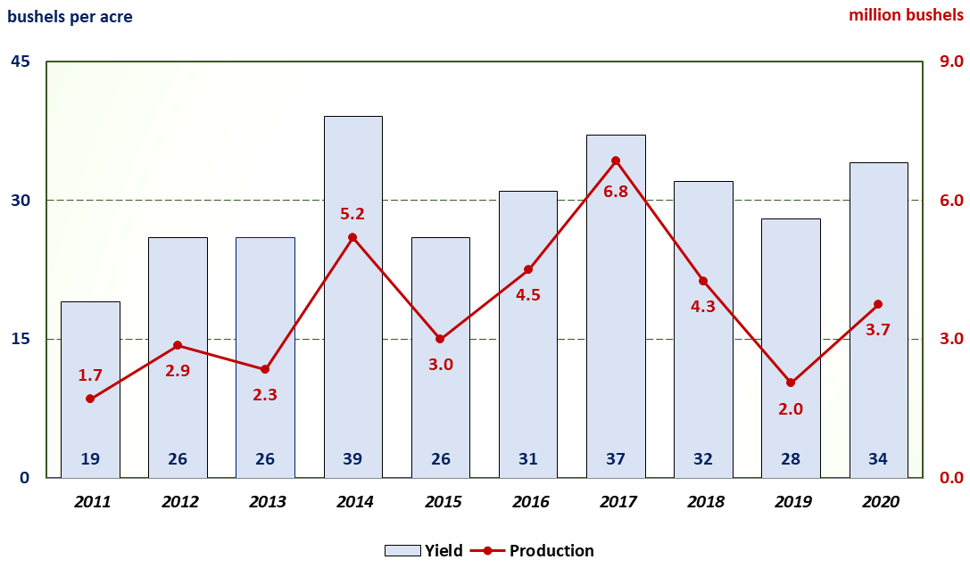 A bar and line chart of Texas soybean yield per harvested acre and production for the last ten years.