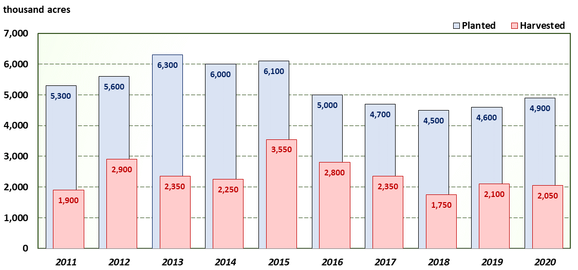 A bar chart of Texas wheat planted and harvested acres for the last ten years.