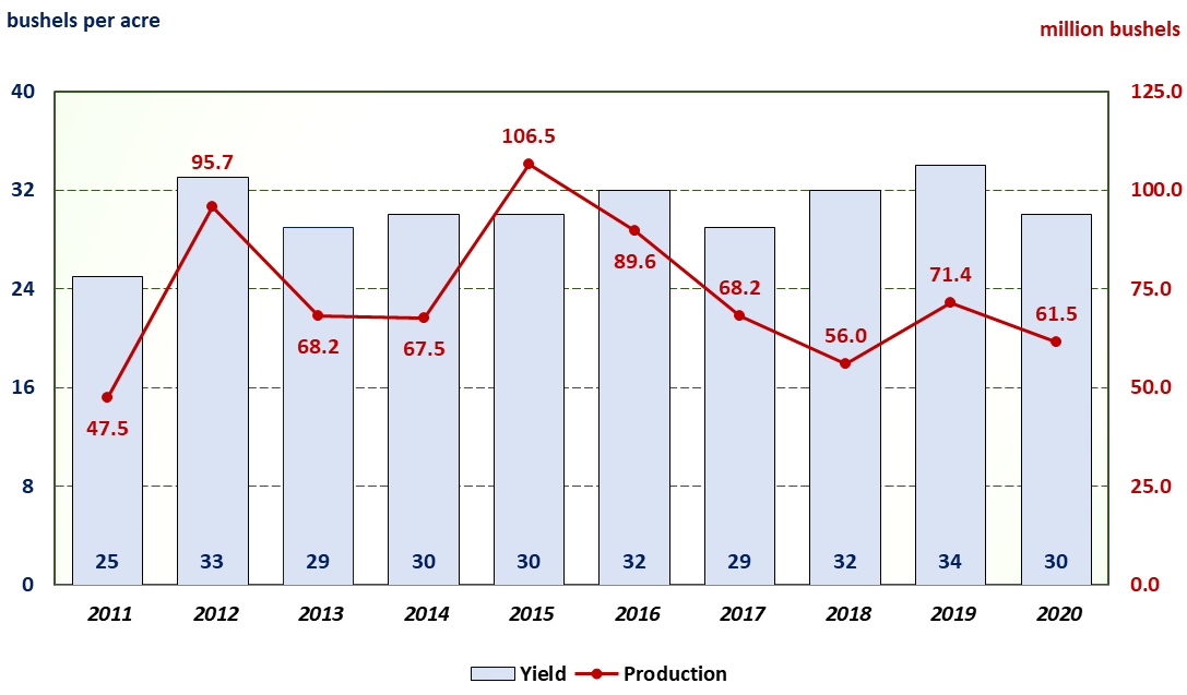 A bar and line chart of Texas wheat yield per harvested acre and production for the last ten years.