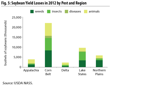 Soybean Yield Losses in 2012 