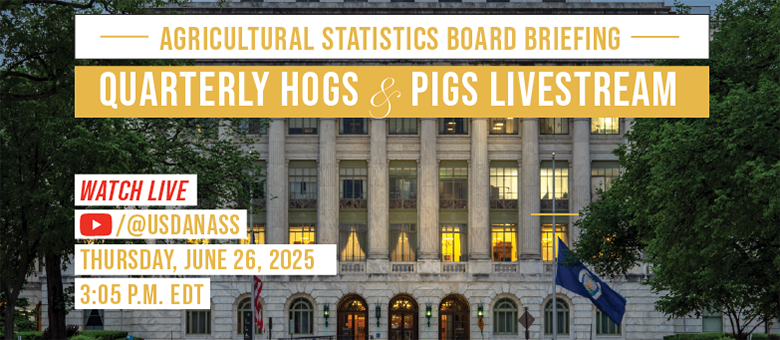 Watch the quarterly hogs and pigs Agricultural Statistics Board Briefing on Thursday, March 27, 2025 at 3:05 p.m. EDT