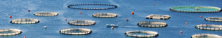 Census of Aquaculture